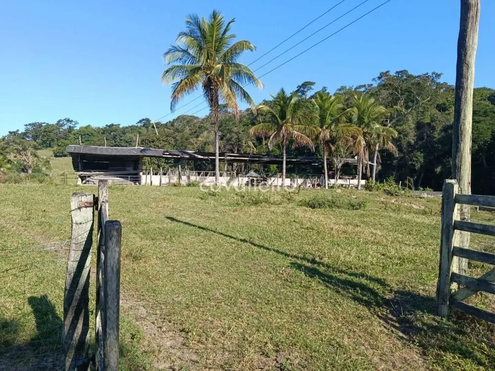 Terreno, 7 hectares - Foto 6