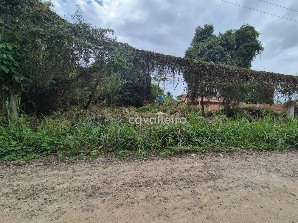 Terreno, 1000 m² - Foto 1