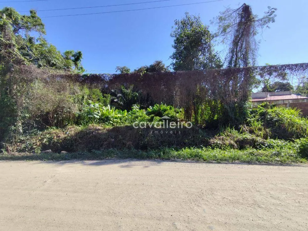 Terreno, 1000 m² - Foto 2