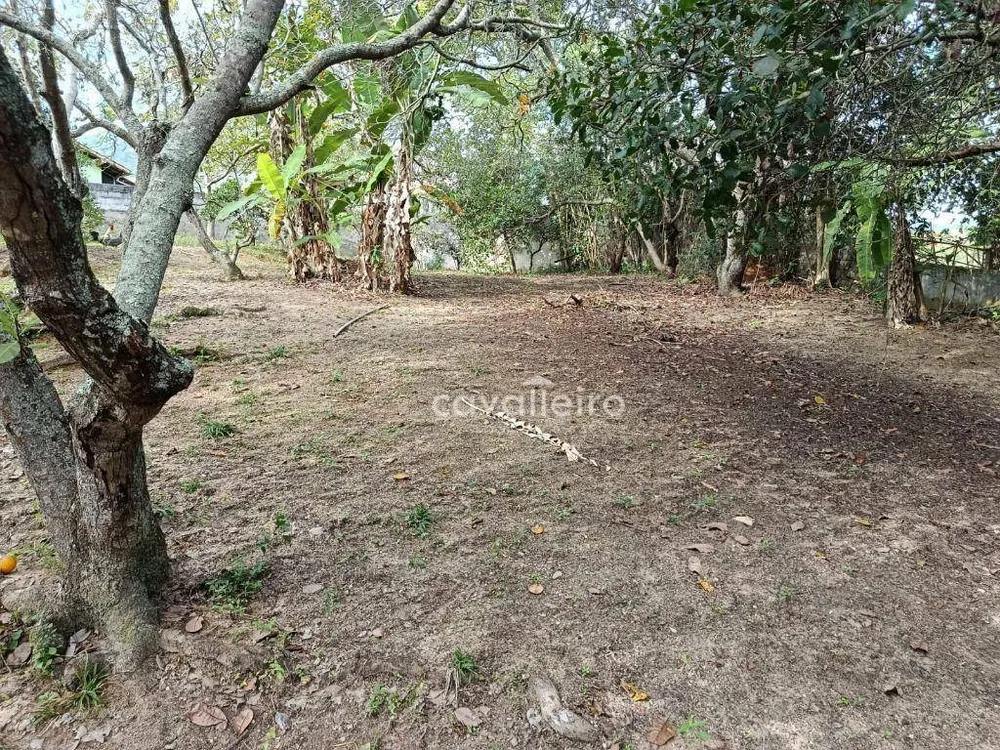 Chácara, 3 quartos, 7600 m² - Foto 19