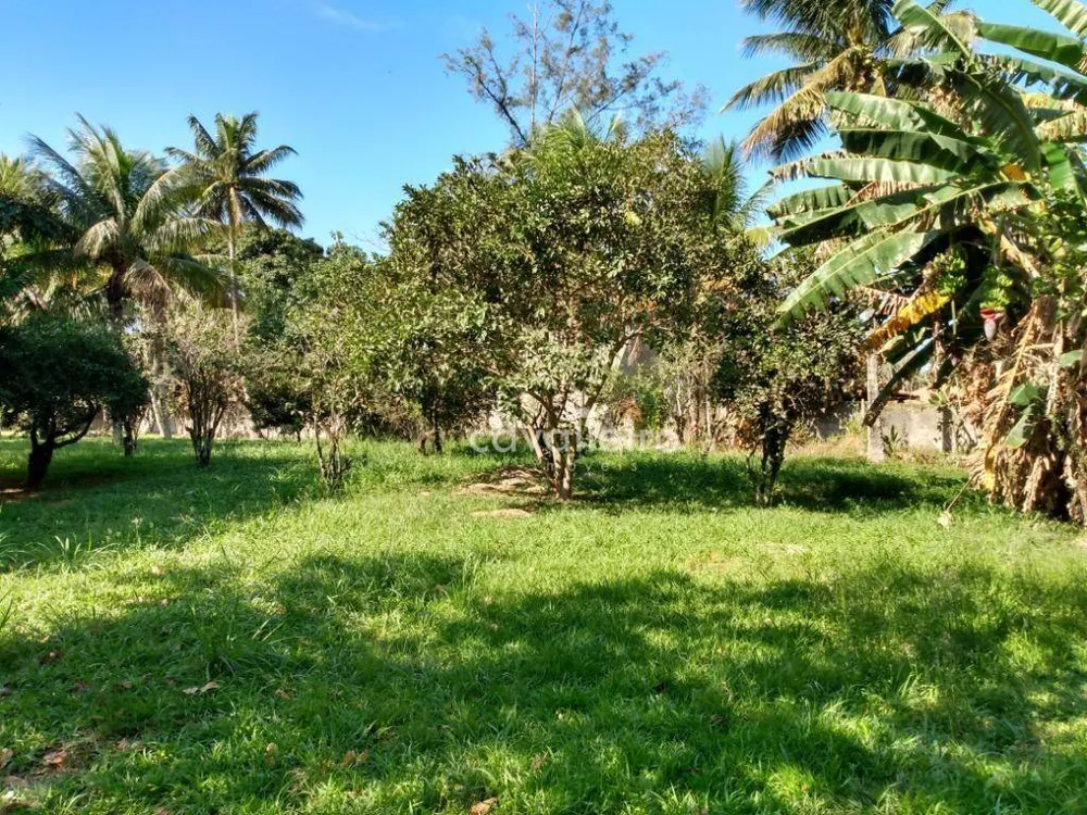 Chácara, 6 quartos, 5439 m² - Foto 5