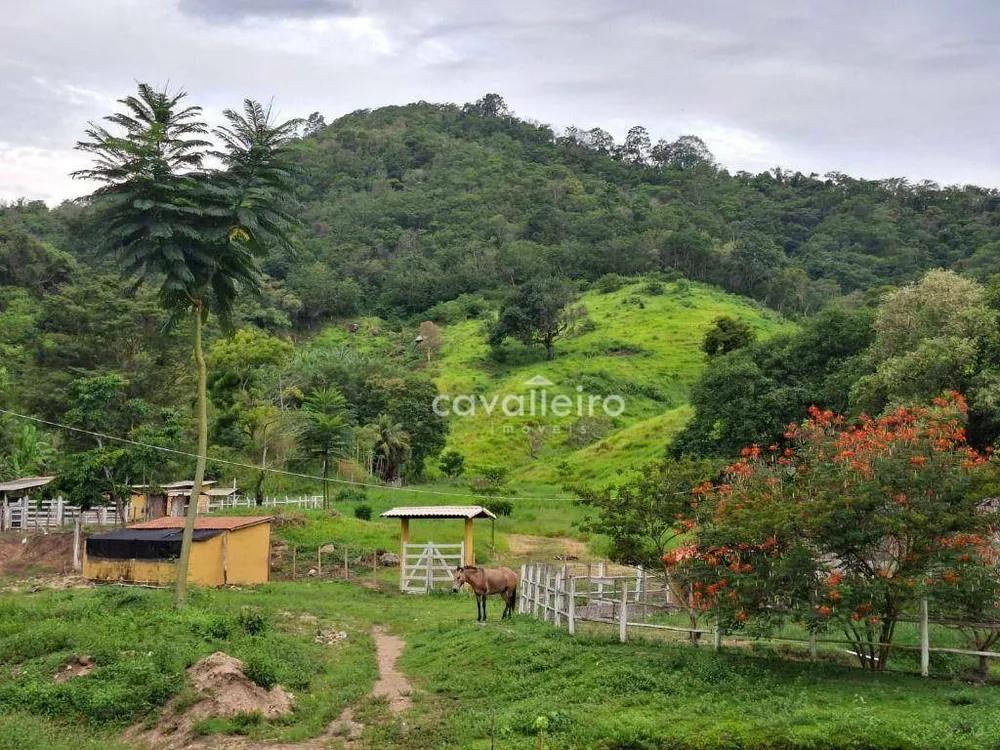 Sítio, 2 quartos, 4 hectares - Foto 1