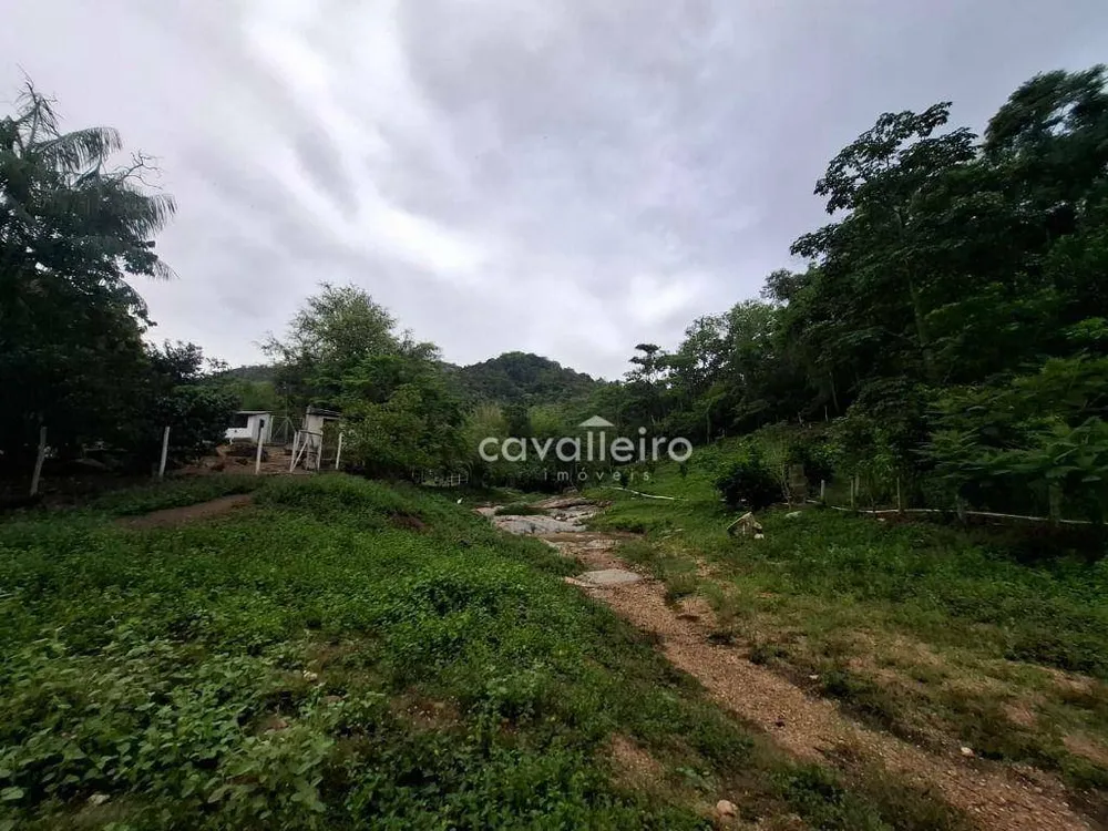 Sítio, 2 quartos, 4 hectares - Foto 26