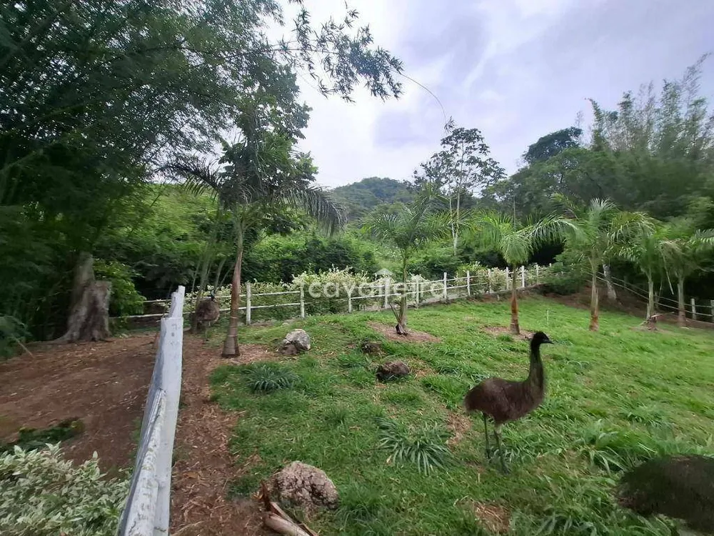 Sítio, 2 quartos, 4 hectares - Foto 35
