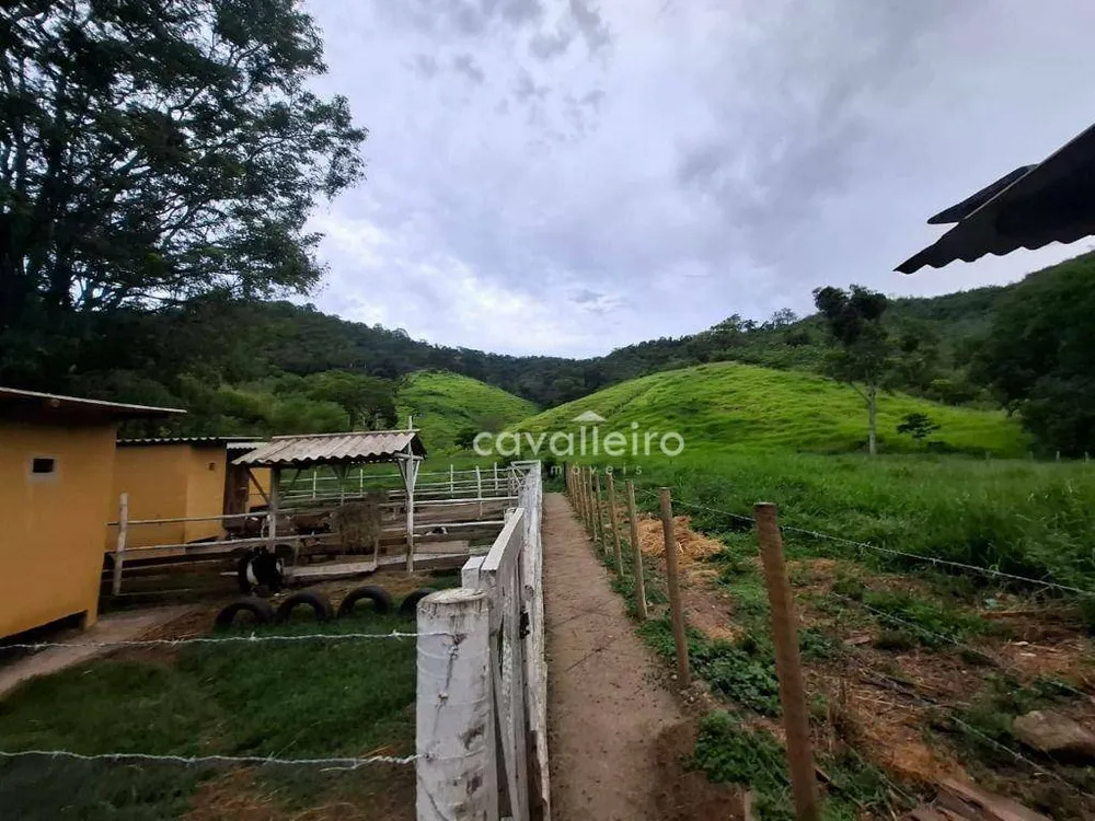 Sítio, 2 quartos, 4 hectares - Foto 8