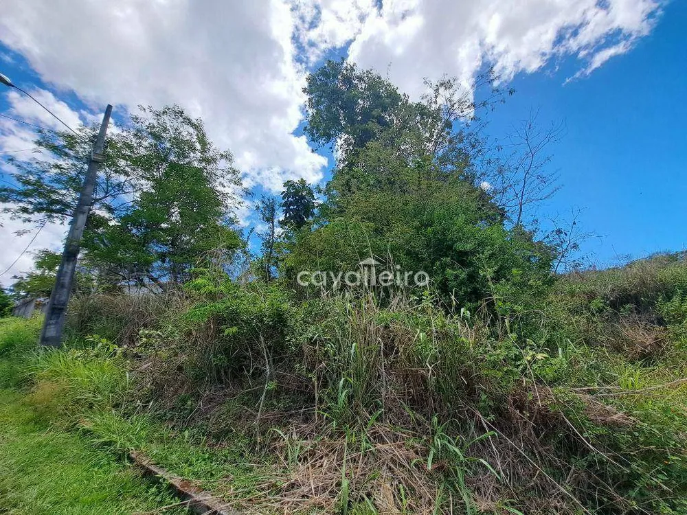 Loteamento e Condomínio, 483 m² - Foto 6