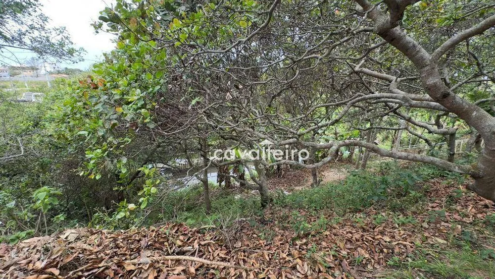 Casa, 7 quartos, 519 m² - Foto 55