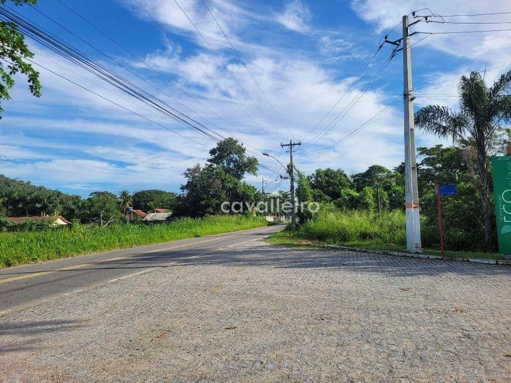Terreno, 4 hectares - Foto 3