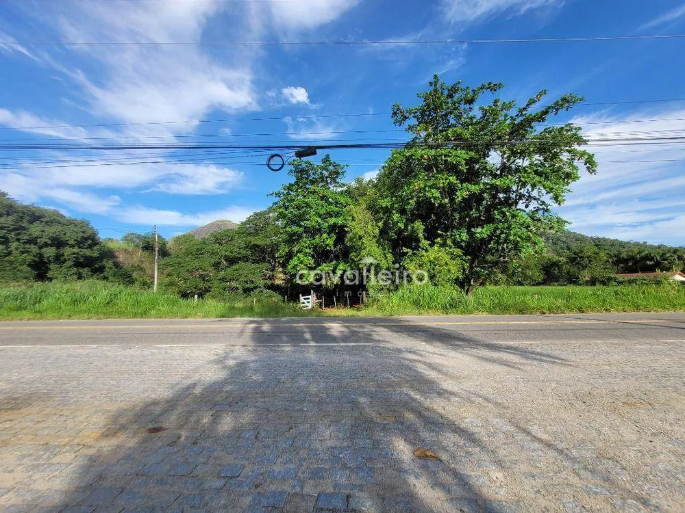 Terreno, 4 hectares - Foto 2