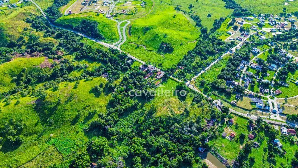 Terreno, 4 hectares - Foto 10