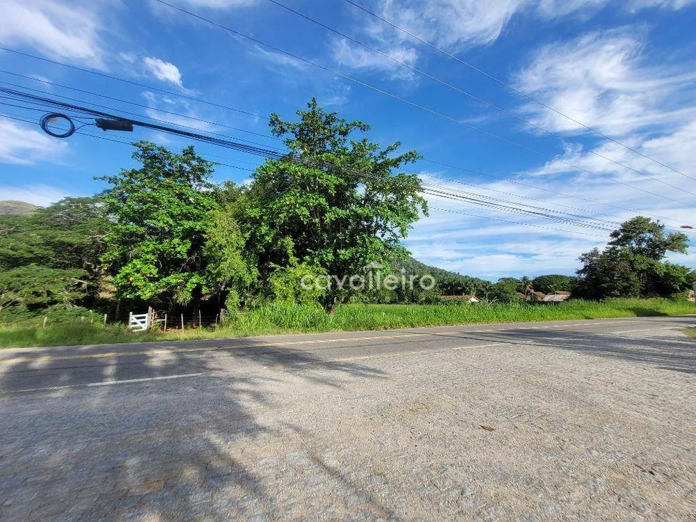 Terreno, 4 hectares - Foto 4