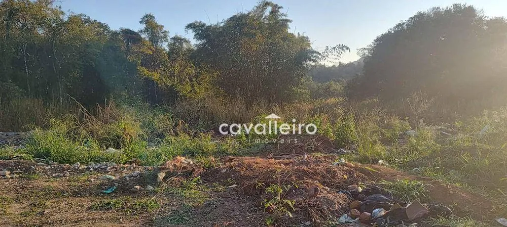 Terreno, 6503 m² - Foto 3