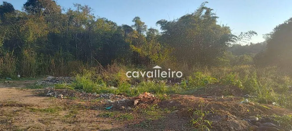 Terreno, 6503 m² - Foto 1
