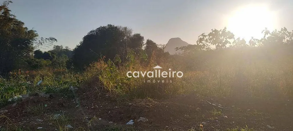 Terreno, 6503 m² - Foto 5