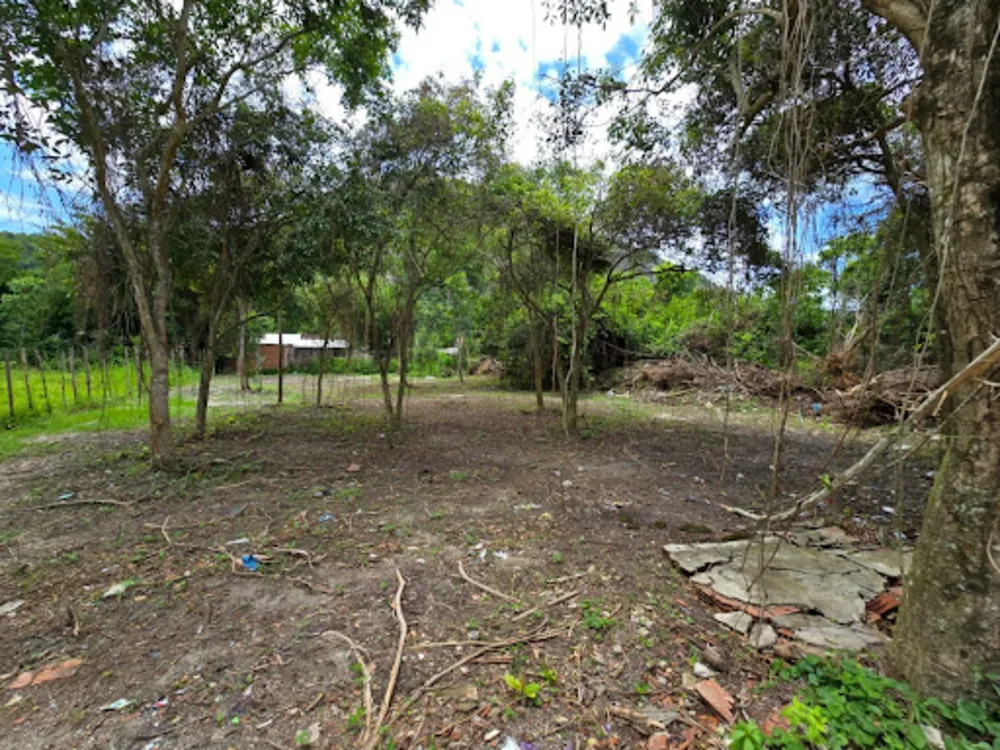 Terreno, 800 m² - Foto 4
