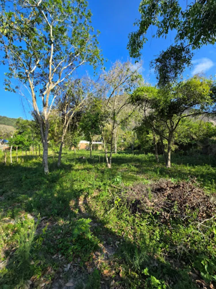 Terreno, 800 m² - Foto 3