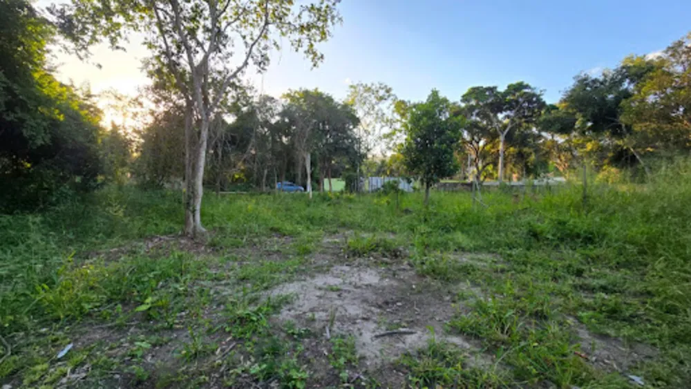 Terreno, 800 m² - Foto 1