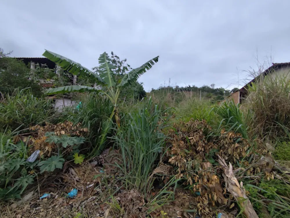 Terreno, 450 m² - Foto 2