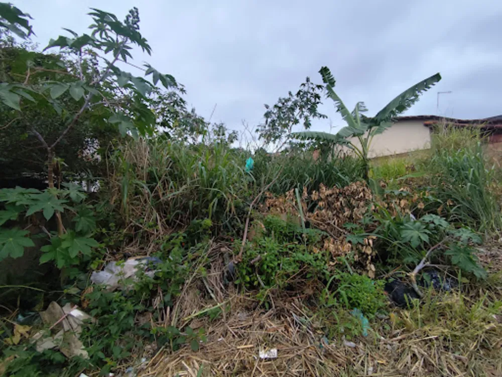 Terreno, 450 m² - Foto 3
