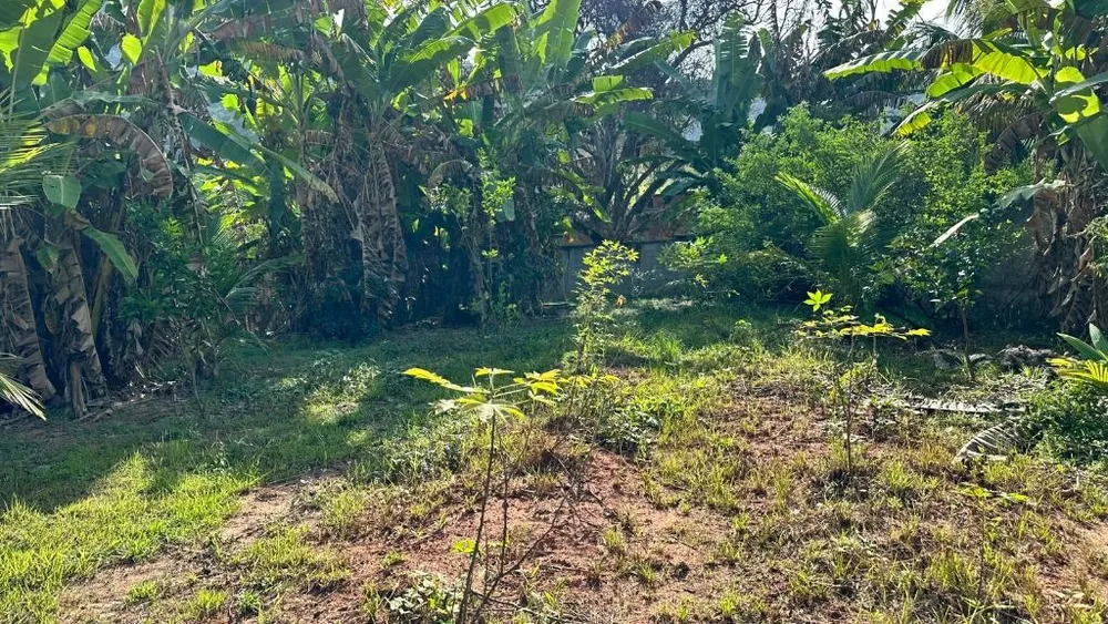 Terreno, 1470 m² - Foto 9