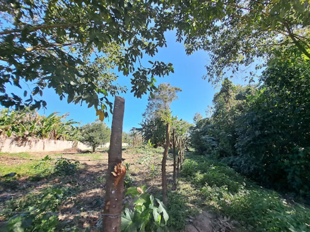 Terreno, 1000 m² - Foto 3