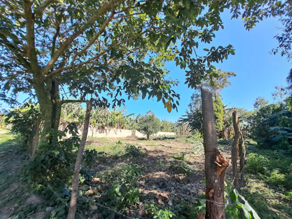 Terreno, 1000 m² - Foto 2