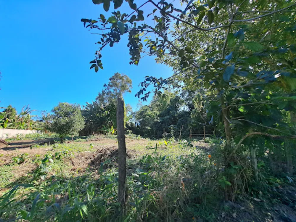 Terreno, 1000 m² - Foto 6