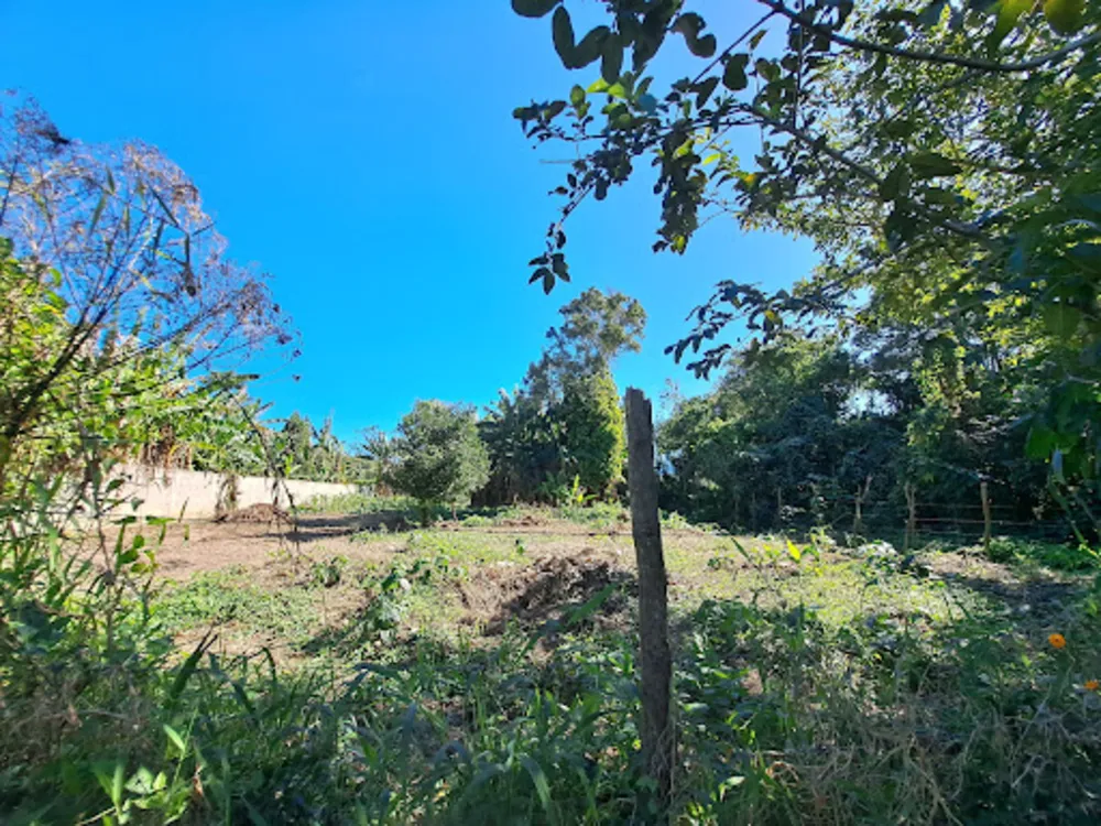 Terreno, 1000 m² - Foto 1