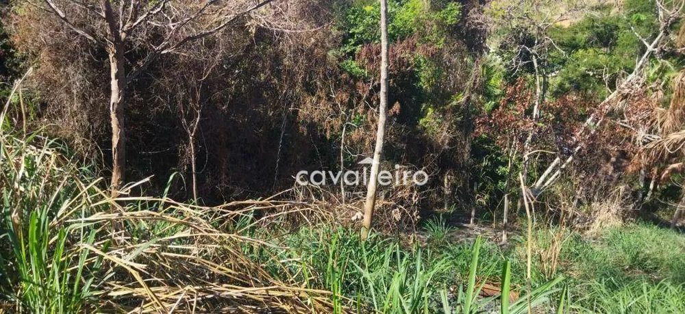 Terreno, 1371 m² - Foto 8