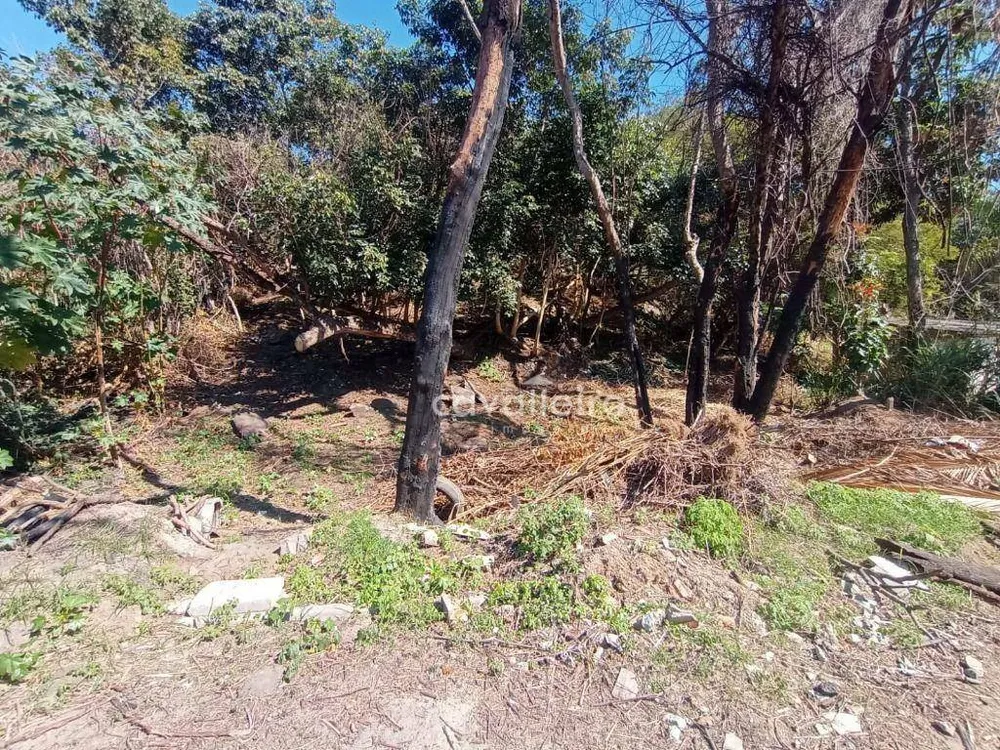 Terreno, 1260 m² - Foto 14