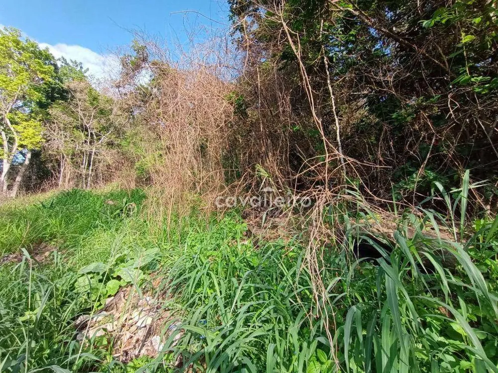 Terreno, 1260 m² - Foto 4