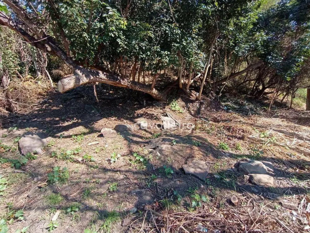 Terreno, 1260 m² - Foto 12