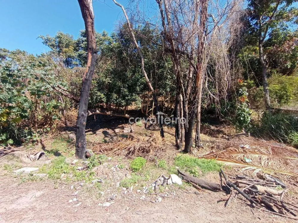 Terreno, 1260 m² - Foto 13