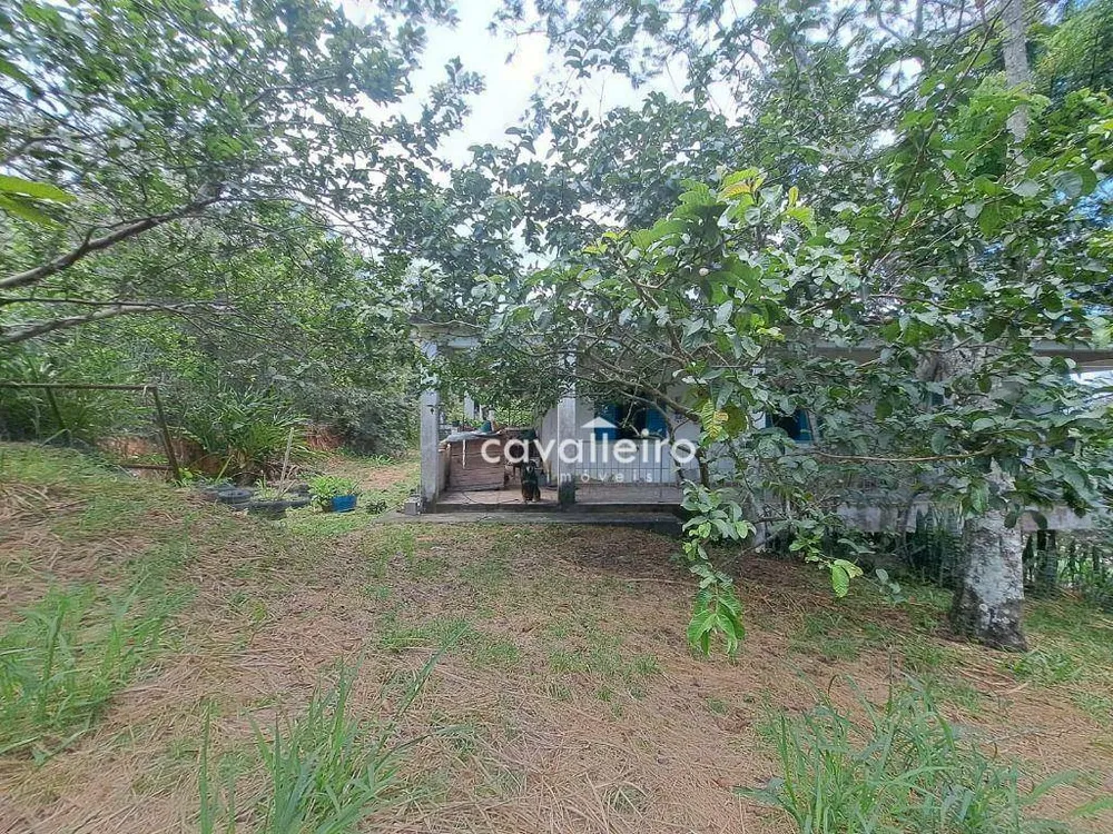 Casa, 3 quartos, 300 m² - Foto 6