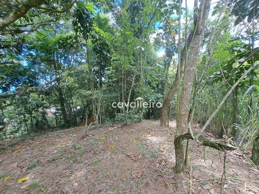 Casa, 3 quartos, 300 m² - Foto 3
