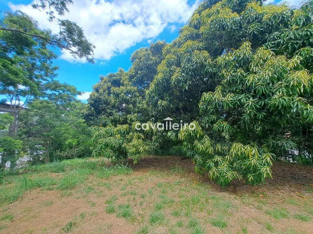Casa, 3 quartos, 300 m² - Foto 8
