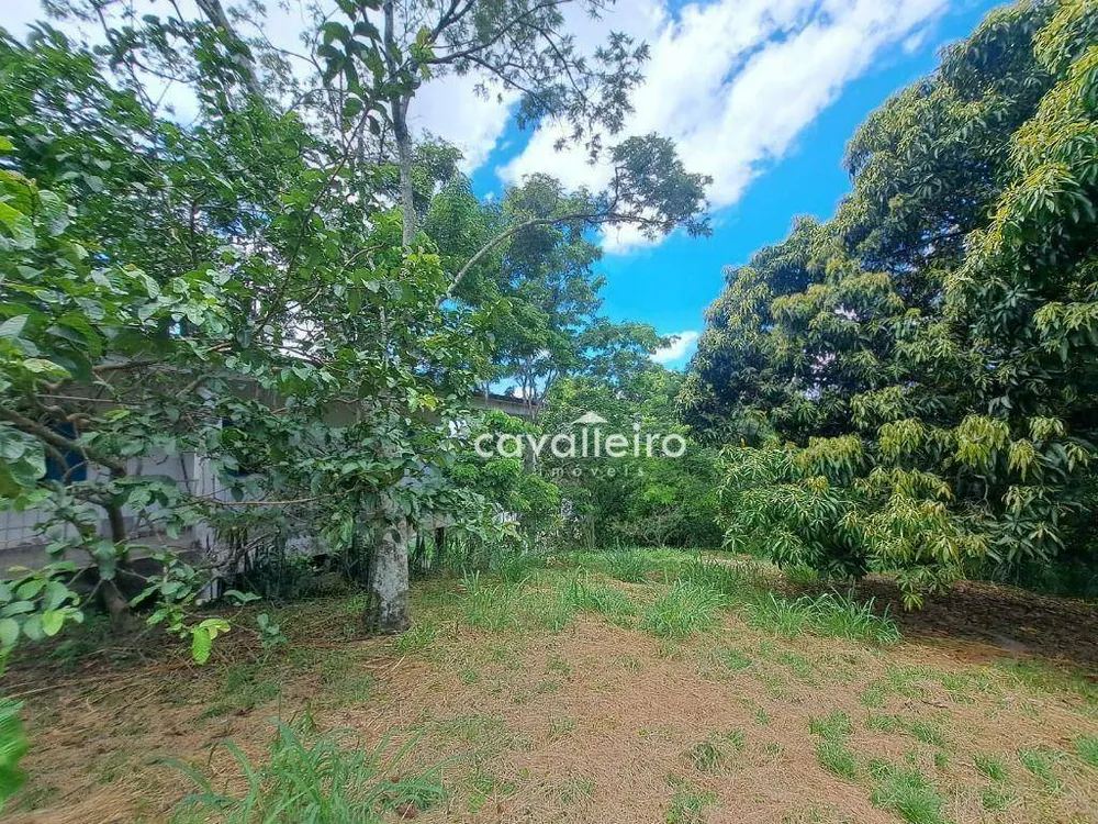Casa, 3 quartos, 300 m² - Foto 7