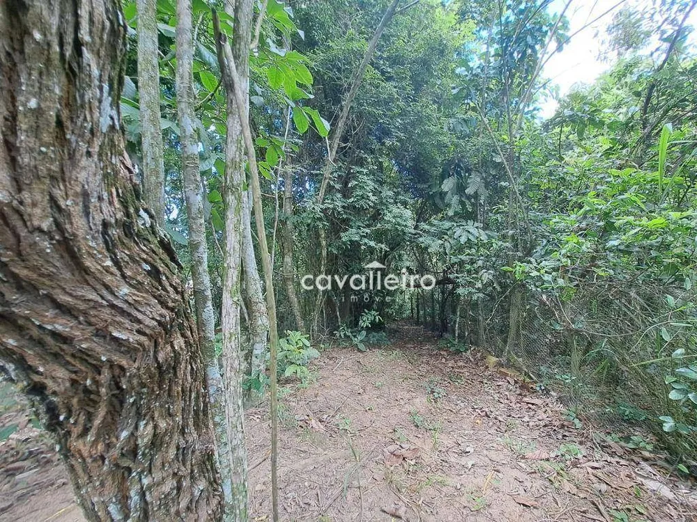 Casa, 3 quartos, 300 m² - Foto 5
