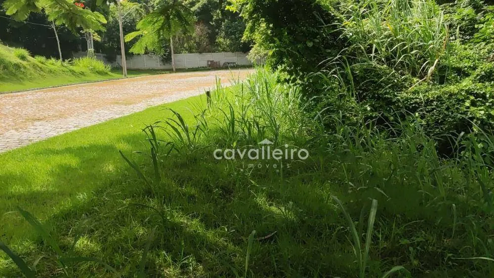 Loteamento e Condomínio, 394 m² - Foto 5