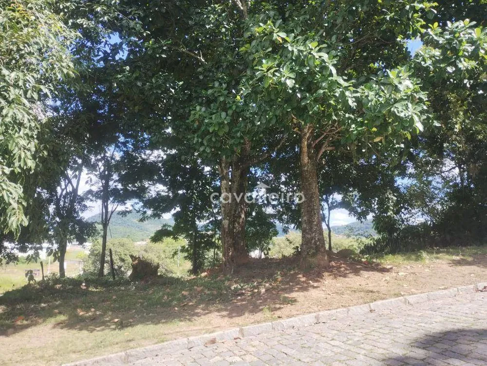 Terreno, 375 m² - Foto 8