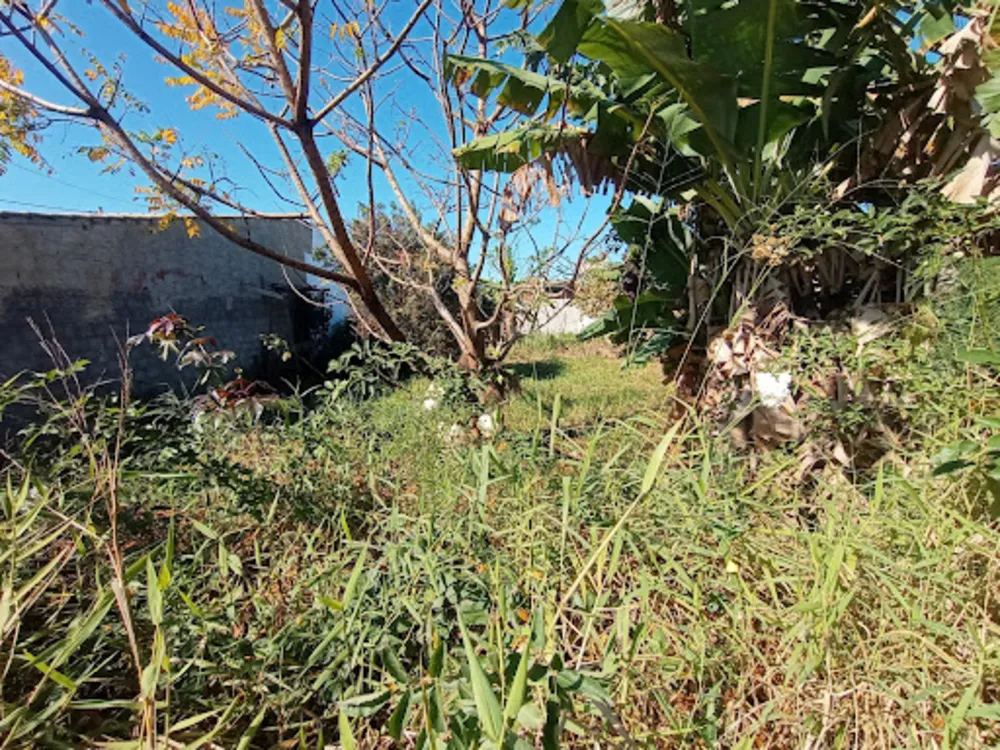Terreno, 440 m² - Foto 4