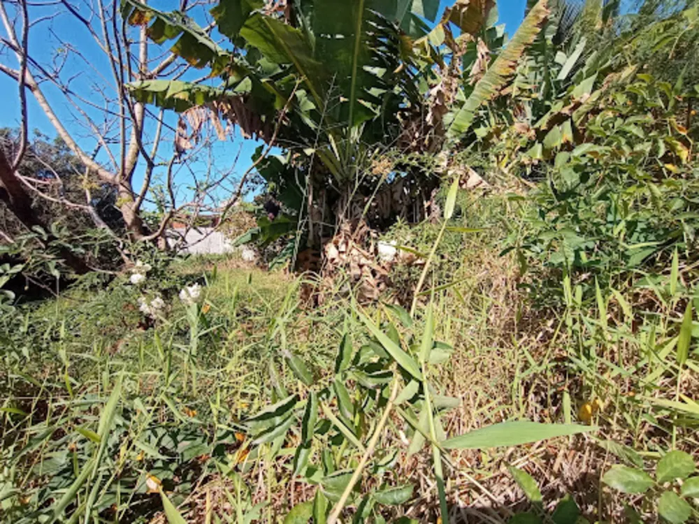 Terreno, 440 m² - Foto 8