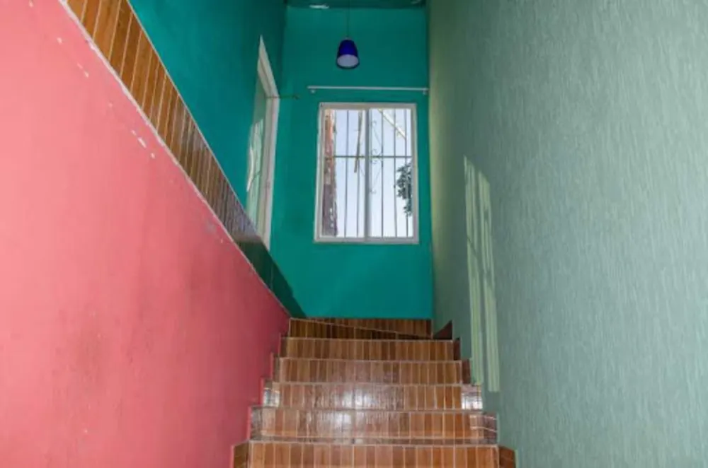 Casa, 3 quartos, 296 m² - Foto 14