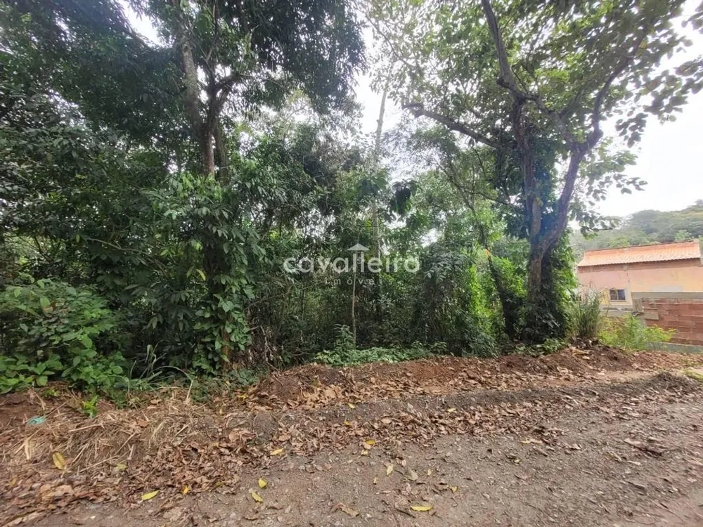 Terreno, 390 m² - Foto 4