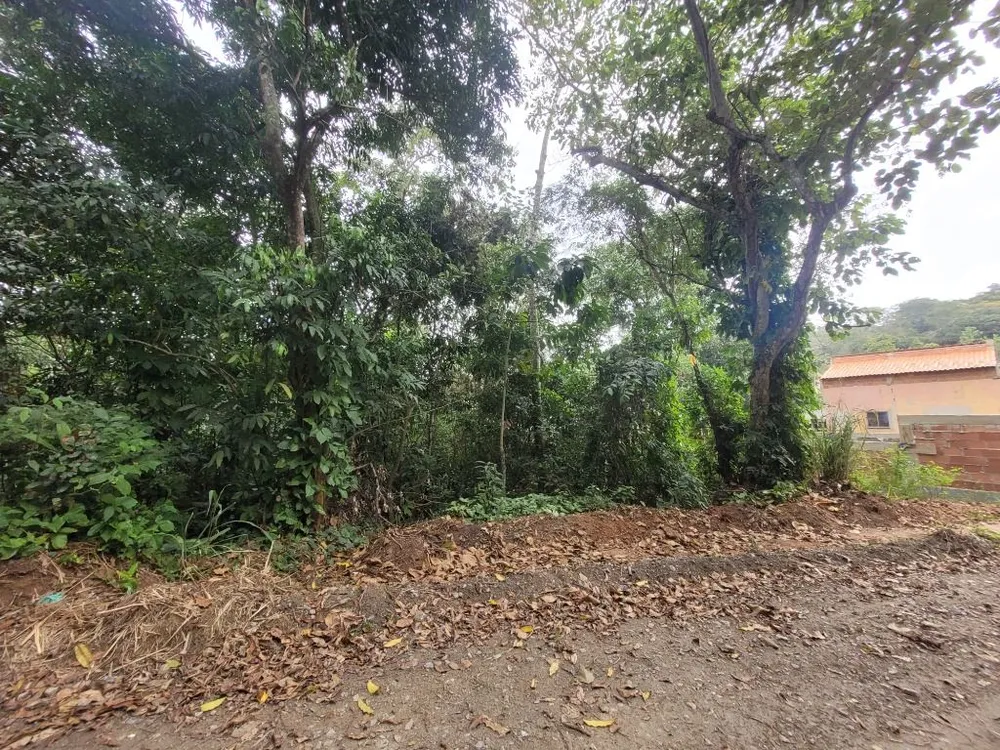 Terreno, 390 m² - Foto 3