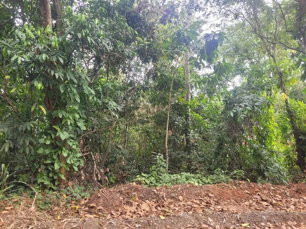 Terreno, 390 m² - Foto 1