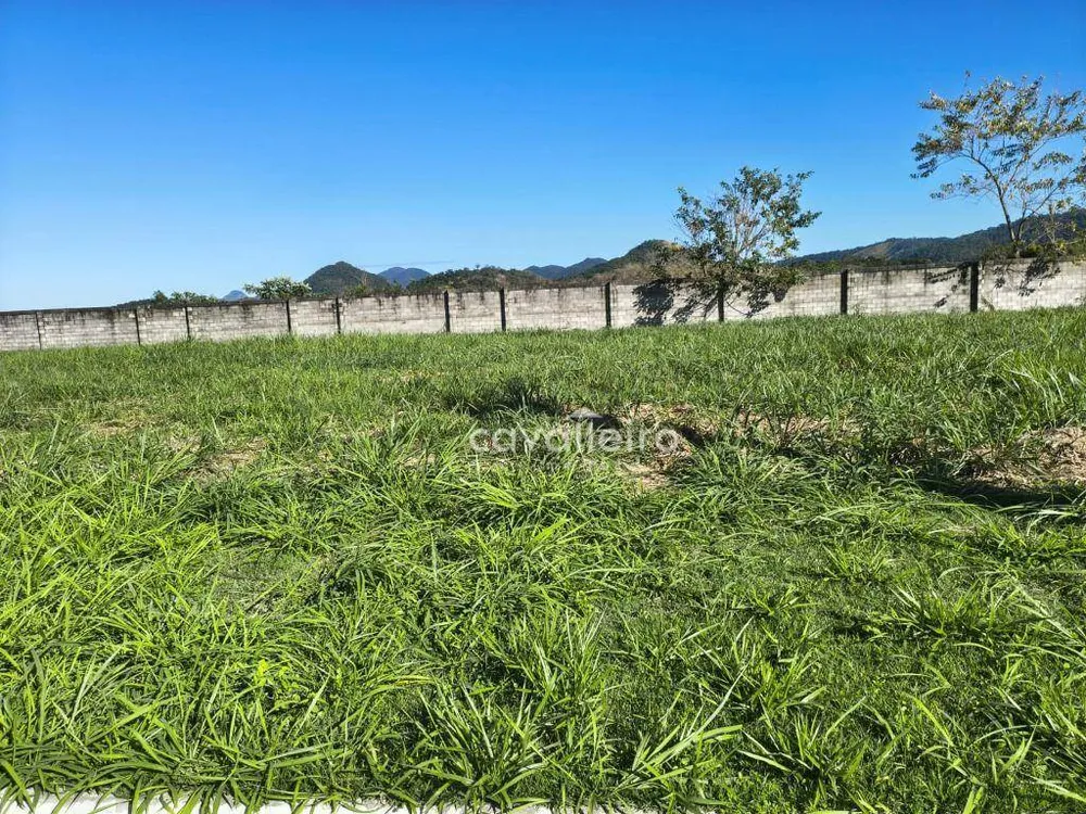 Loteamento e Condomínio, 381 m² - Foto 4