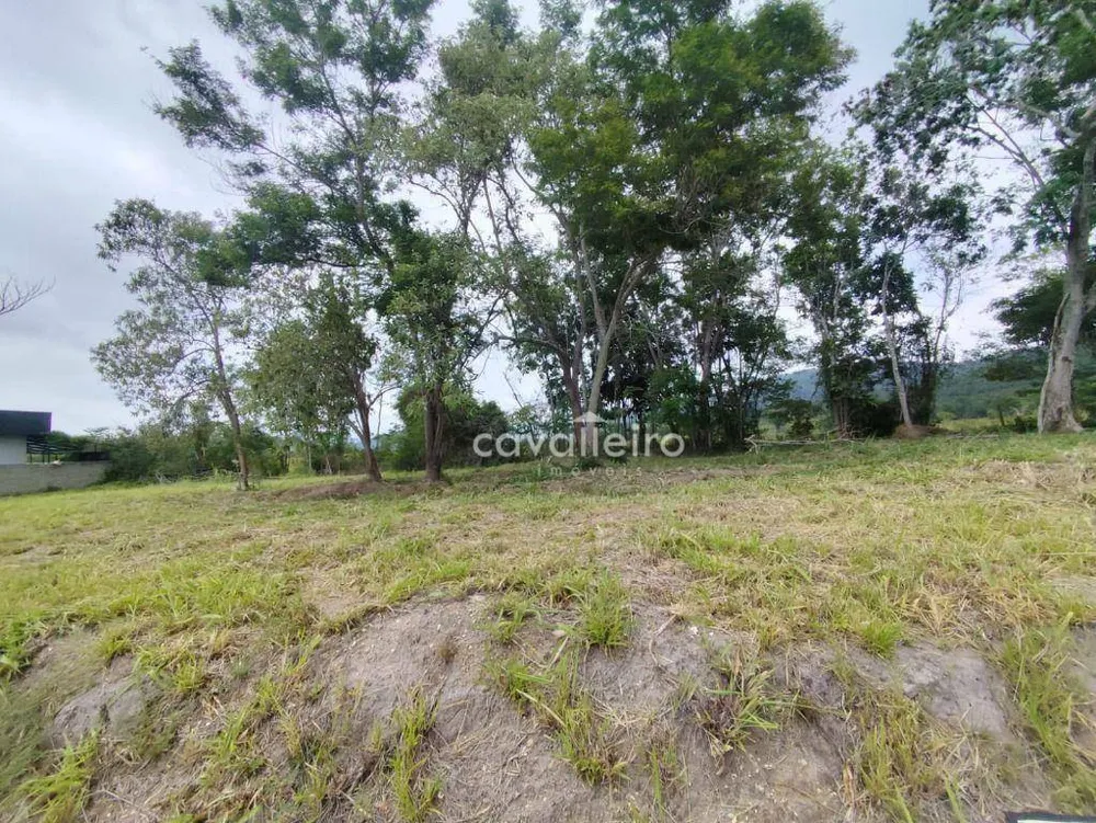 Terreno, 368 m² - Foto 3