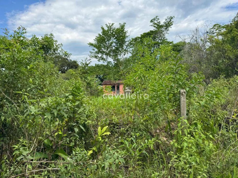 Terreno, 1000 m² - Foto 6