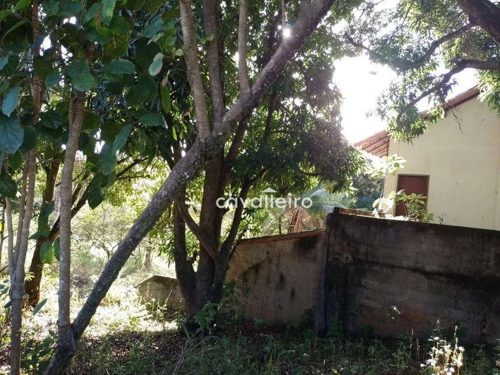 Casa, 4 quartos, 276 m² - Foto 21